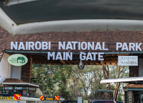 Nairobi National Park: The World’s Only Wildlife Capital