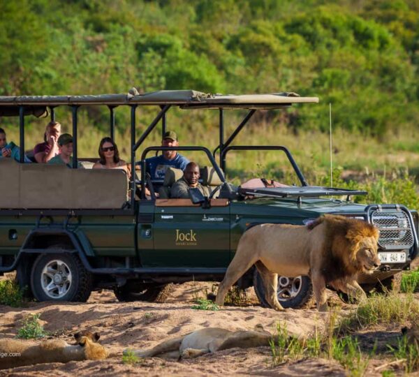 South-Africa-Southern-Kruger-Jock-Safari-Lodge-Main-Lodge-4-1 - Holidawn Adventure
