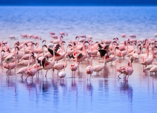Hiking Adventures in Naivasha
