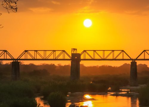 Rugged Kruger Safari Frontier