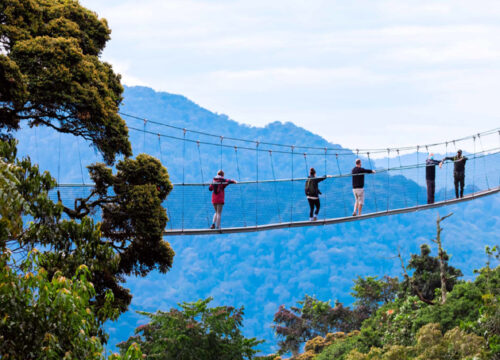 8 DAYS RWANDA ADVENTURE SAFARIS