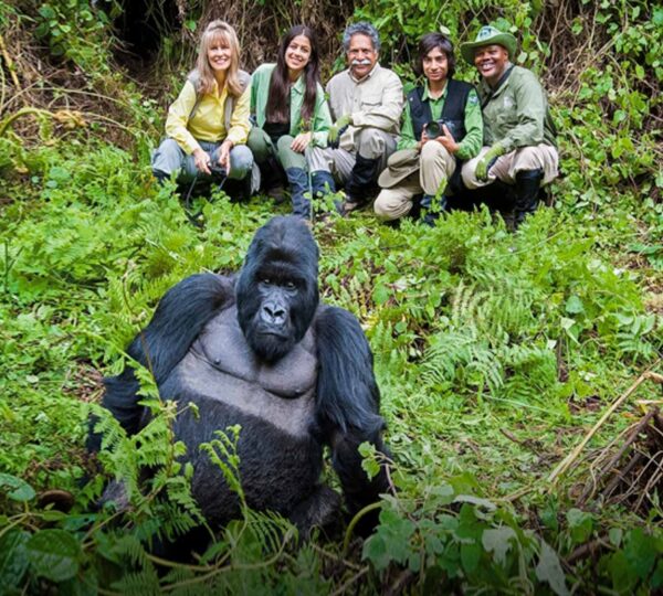 Gorilla Trekking Tour in Uganda