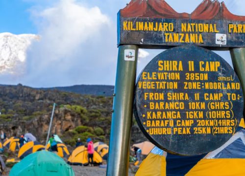 Majestic Mount Kilimanjaro Summit