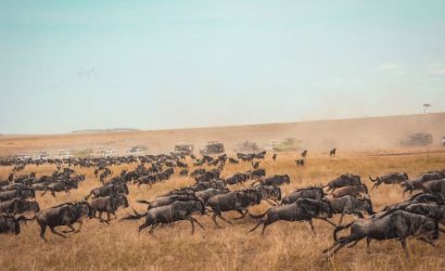 Private safari-5 Days Masai Mara 