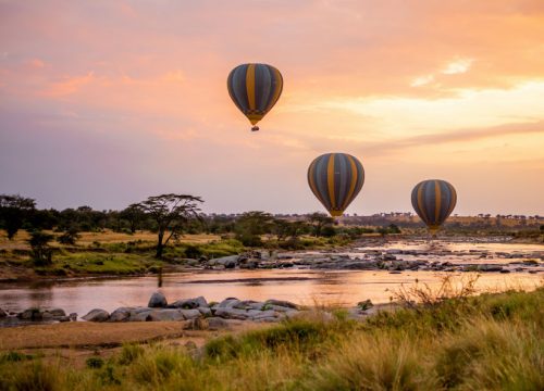 Enchanted Serengeti Wilderness
