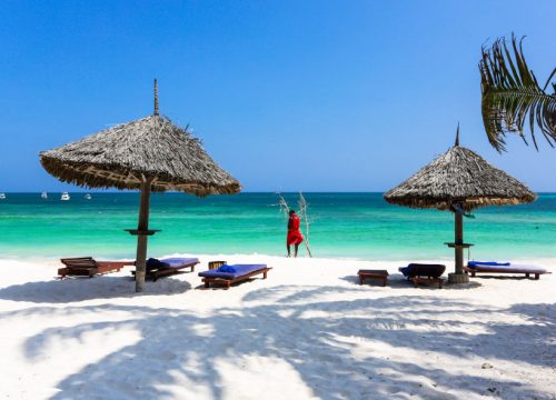 Vibrant Watamu Marine Wonderland
