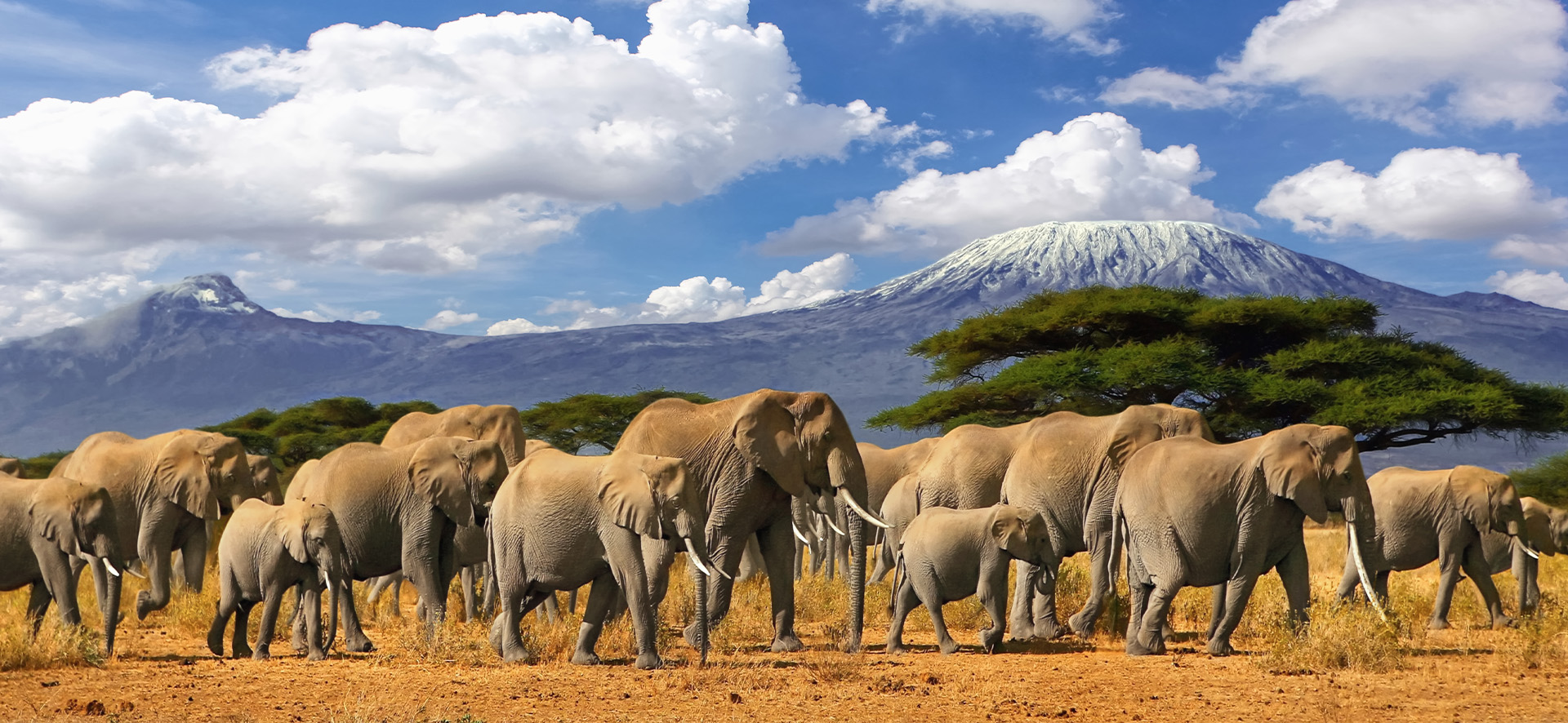 Tanzania