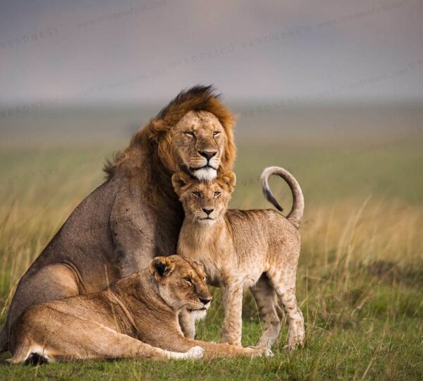 Discover Kenya