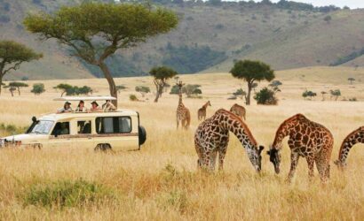 3 Days Maasai Mara Safari