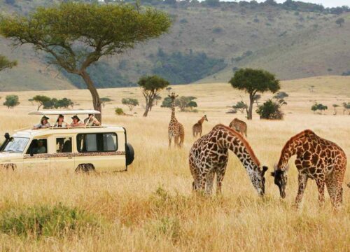 3 Days Maasai Mara Safari