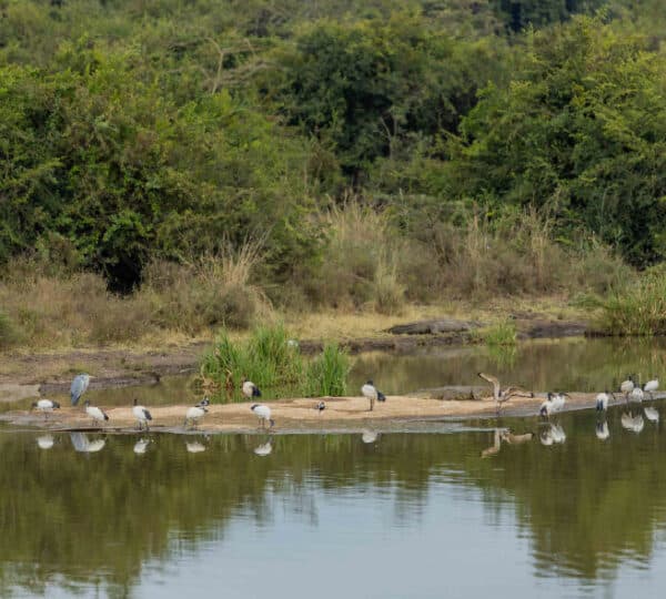 Discover Kenya