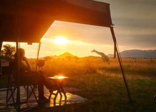 Top 10 Luxury Safari Lodges in Kenya