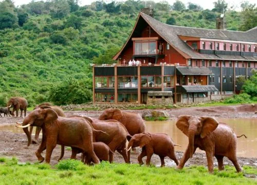 6 Days 5 Nights Kenya Safari – Aberdare, Samburu & Ol Pejeta