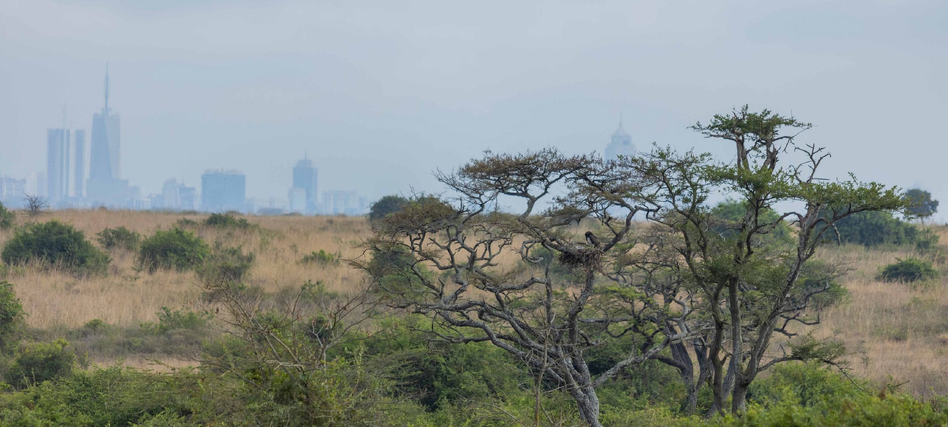 Kenya
